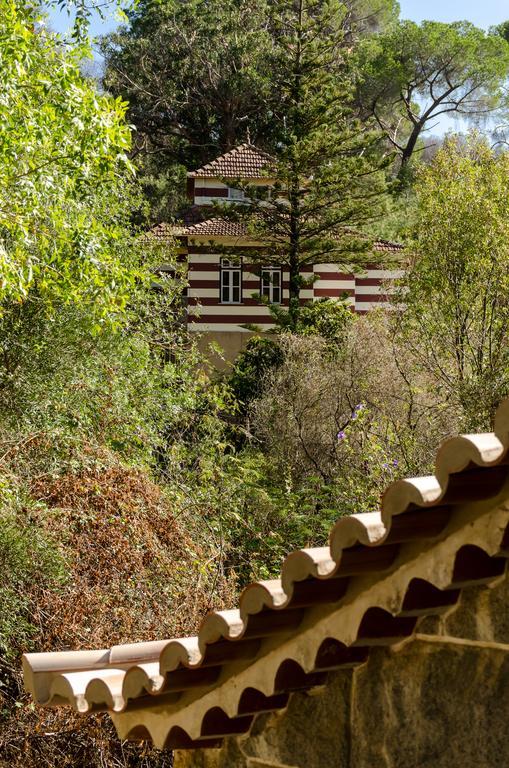 Chalet Моншики Экстерьер фото